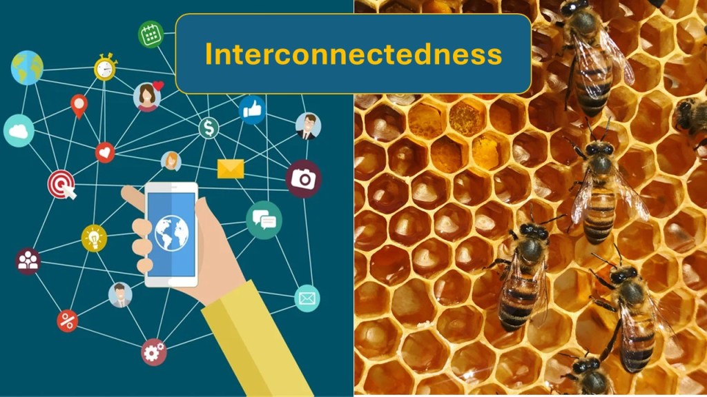 Interconnectedness, a thriving & diverse&nbsp;relationship